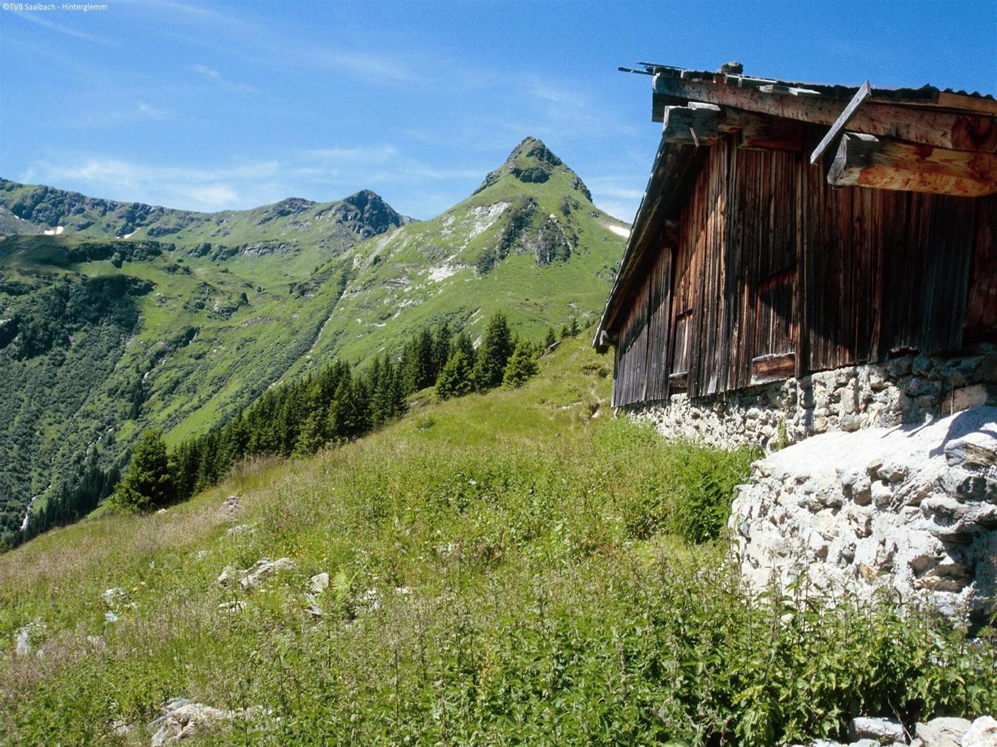 Modern With Sauna Near Area In Salzburg Chalet Saalbach