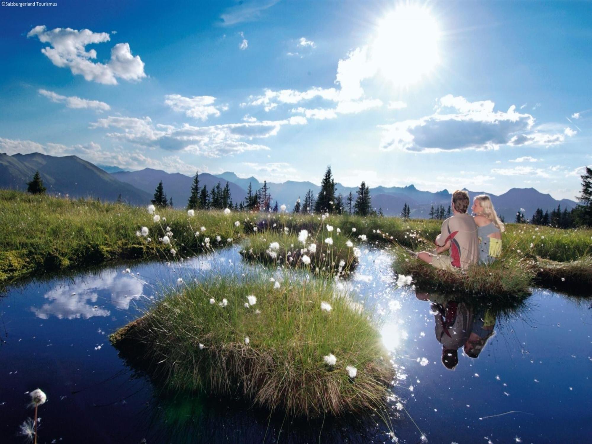 Modern With Sauna Near Area In Salzburg Saalbach