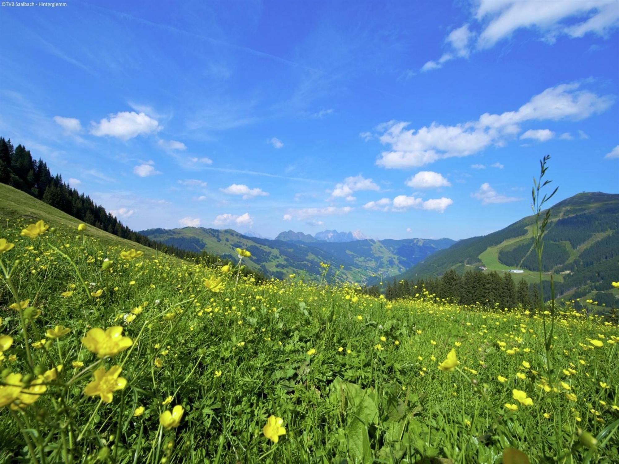 Chalet Modern With Sauna Near Area In Hinterglemm Salzburgerland *
