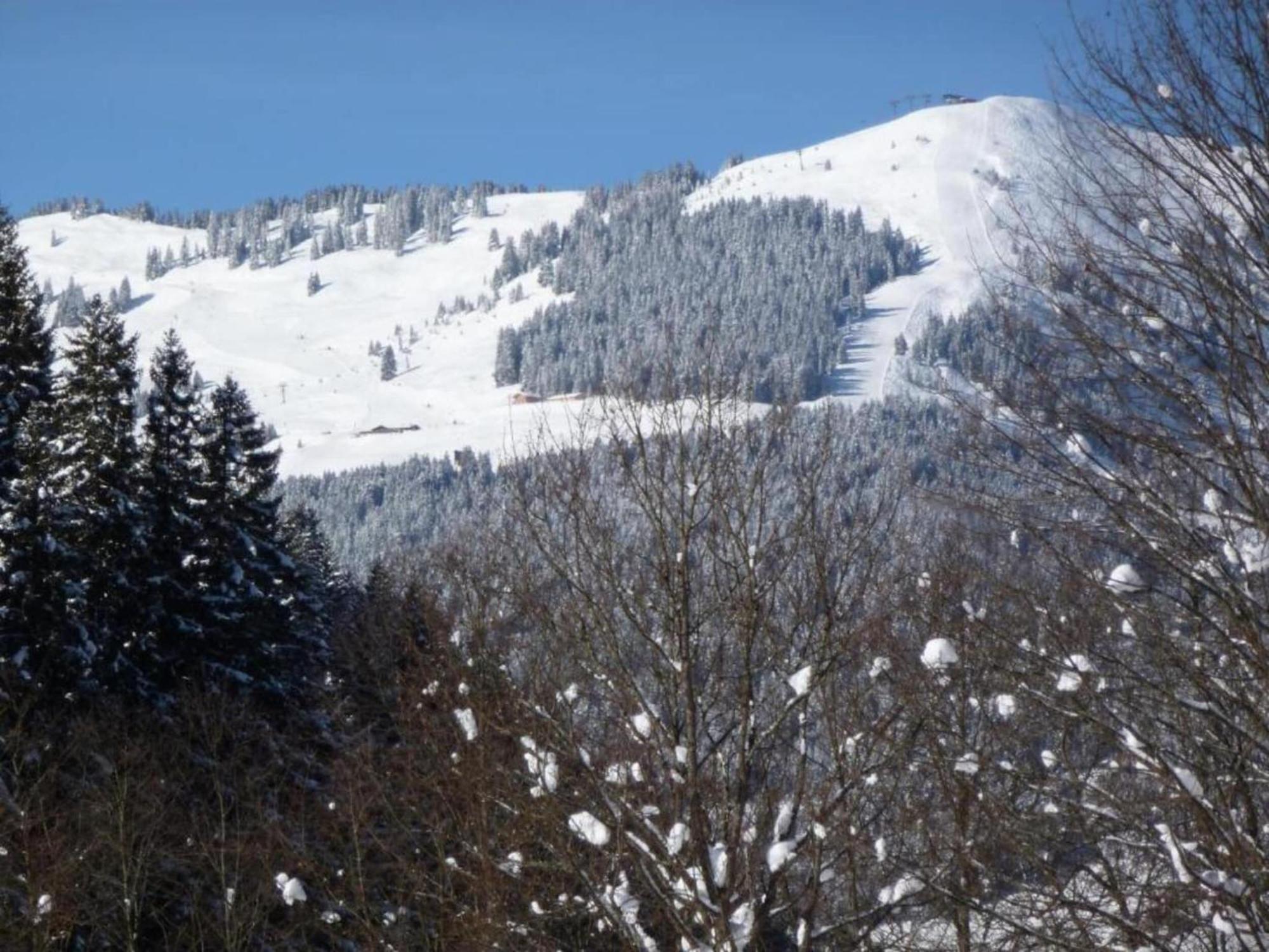 Modern Chalet With Sauna Near Ski Area In Saalbach Hinterglemm Salzburgerland